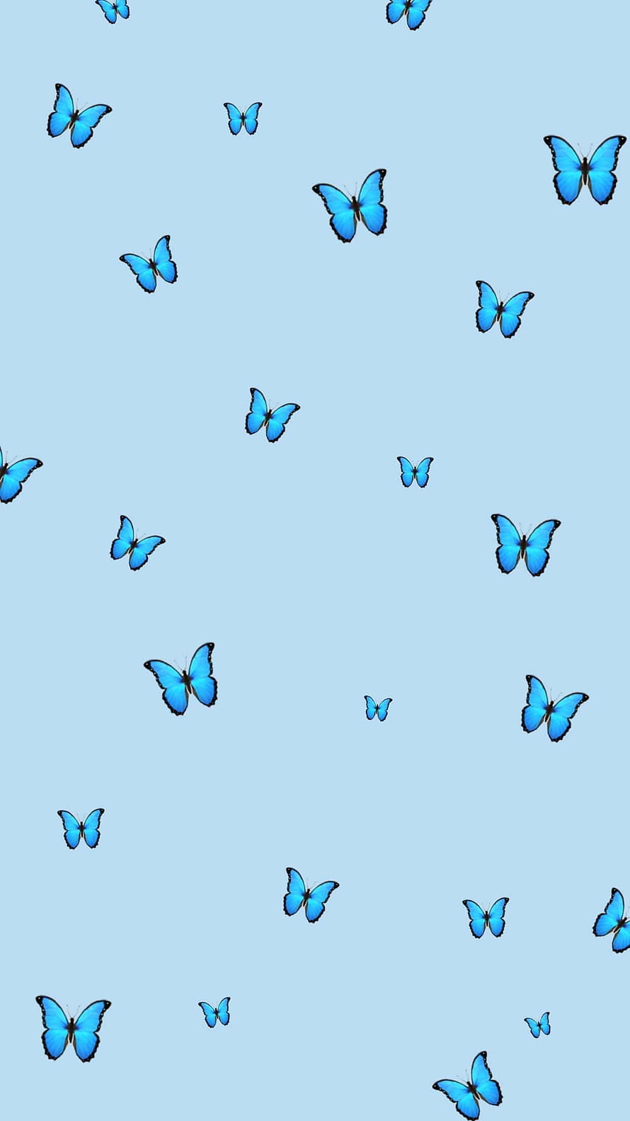 Scattered Blue Morpho Butterflies on a Soft Sky-Blue Background HD phone wallpaper