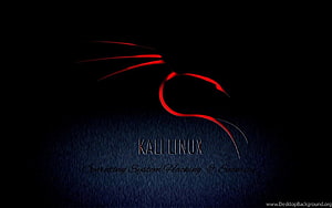 Kali Linux Dark Red Dragon Logo on Black Background HD wallpaper