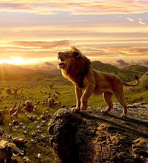 Simba roaring on Pride Rock overlooking the savanna in The Lion King HD phone wallpaper