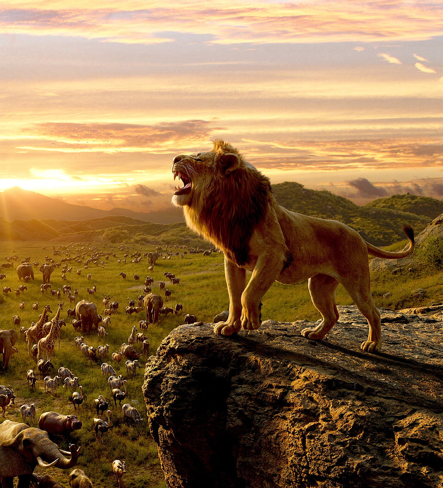 Simba roaring on Pride Rock overlooking the savanna in The Lion King HD phone wallpaper