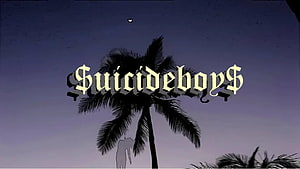 Suicideboys Logo Over Silhouetted Palm Tree Against Twilight Sky HD wallpaper