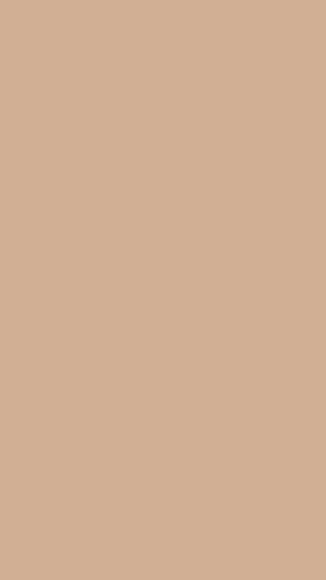 Minimalist Plain Beige Solid Color Background HD phone wallpaper