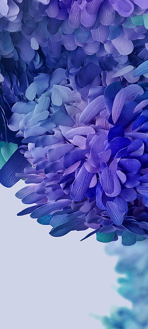 Samsung Galaxy S20 FE and S21 FE Default Blue Petal Flower Wallpaper HD phone wallpaper