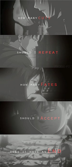 Attack on Titan Levi and Mikasa Emotional Quote Collage HD phone wallpaper