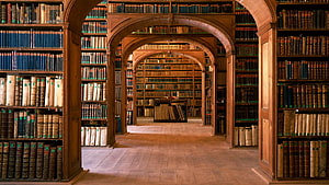 Grand Arched Library Interior With Antique Books And Wooden Shelves HD wallpaper