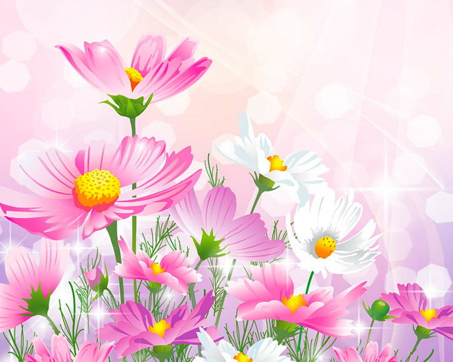 Vibrant Pink and White Cosmos Blooms in a Soft Pastel Garden with Bokeh Light Effects HD wallpaper