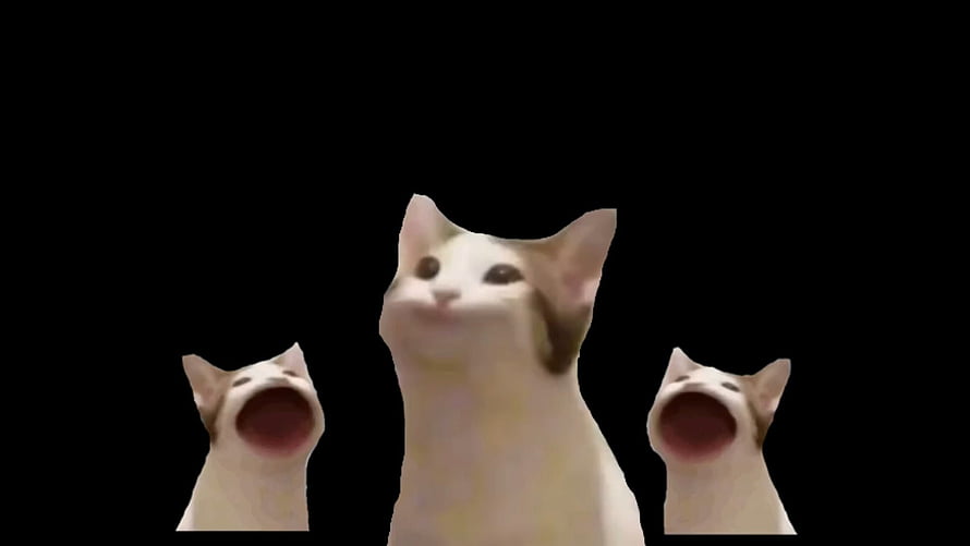Three Pop Cat Meme Characters Singing Together on Black Background HD wallpaper
