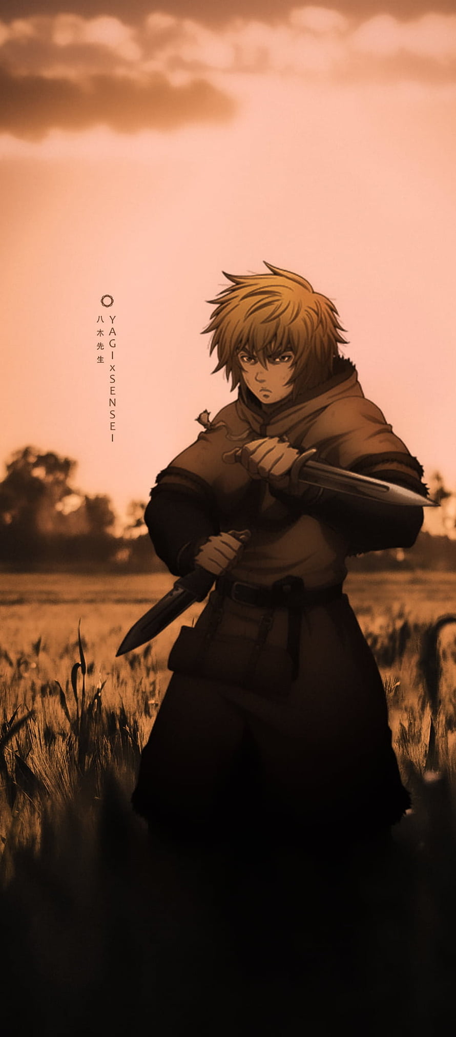 Thorfinn from Vinland Saga Standing in a Golden Field at Sunset Holding a Sword HD phone wallpaper