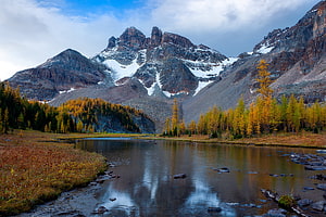 Autumn Mountain Lake with Golden Larches and Snow-Capped Peaks HD wallpaper