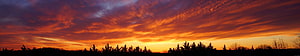 Vivid Orange Sunset Sky with Silhouetted Tree Line and Dramatic Clouds HD wallpaper
