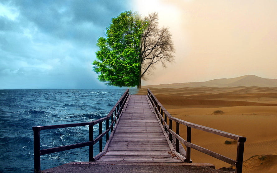 Surreal Split Landscape With Wooden Pier, Ocean, Desert, and Dual-Season Tree HD wallpaper