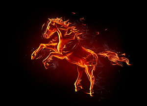Fiery Horse Rearing in Flames Against a Dark Background HD wallpaper