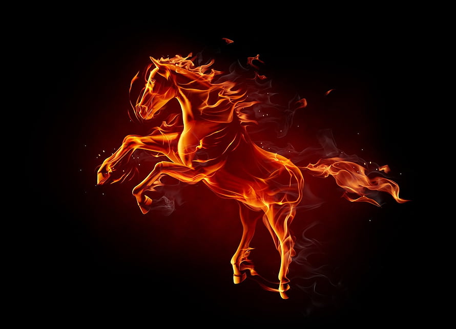 Fiery Horse Rearing in Flames Against a Dark Background HD wallpaper