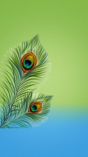Vibrant Peacock Feather with Eye Patterns on Green and Blue Gradient Background HD phone wallpaper