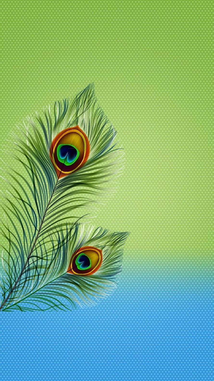 Vibrant Peacock Feather with Eye Patterns on Green and Blue Gradient Background HD phone wallpaper