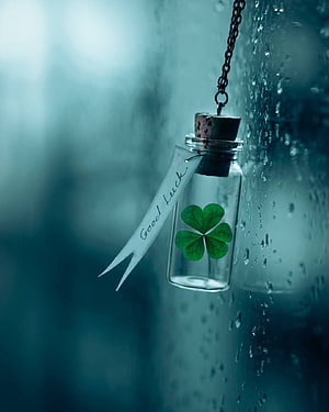 Four-leaf clover in a glass vial with a good luck tag hanging against a rainy window HD phone wallpaper