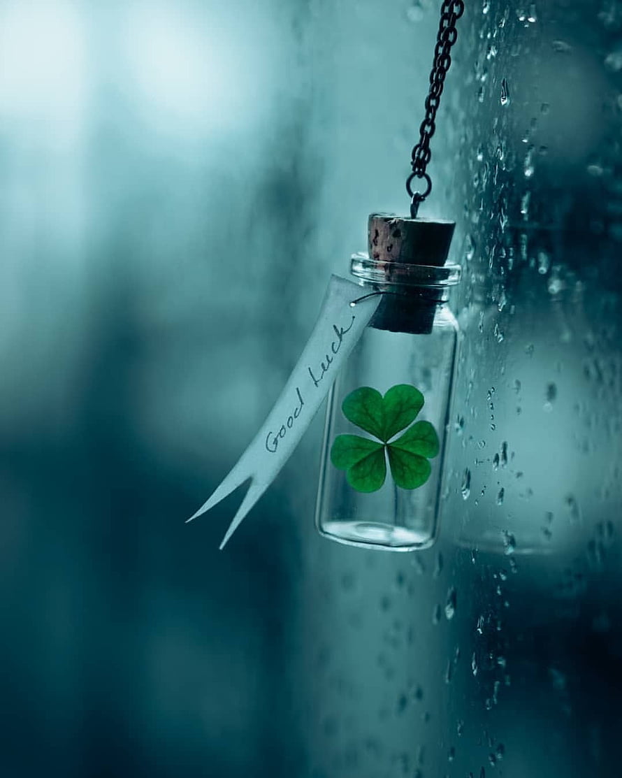 Four-leaf clover in a glass vial with a good luck tag hanging against a rainy window HD phone wallpaper