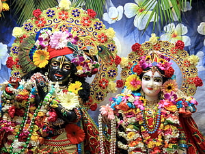 Radha Krishna Temple Deities Adorned in Vibrant Floral Garlands and Jewels HD wallpaper