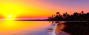 Tropical Beach Sunset with Silhouetted Palm Trees and Golden Ocean Horizon HD wallpaper