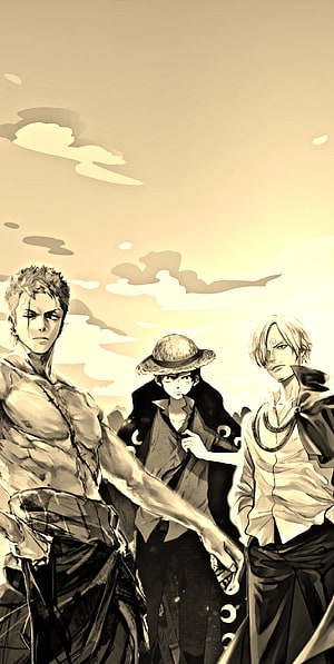 One Piece Straw Hat Pirates Luffy Zoro and Sanji Standing Together in Sepia Tone HD phone wallpaper