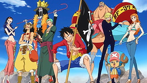 One Piece Straw Hat Pirates Full Crew Standing on Rocky Cliff Under Blue Sky HD wallpaper