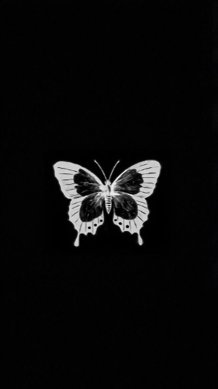 Monochrome Butterfly with Dripping Wings on Black Background HD phone wallpaper
