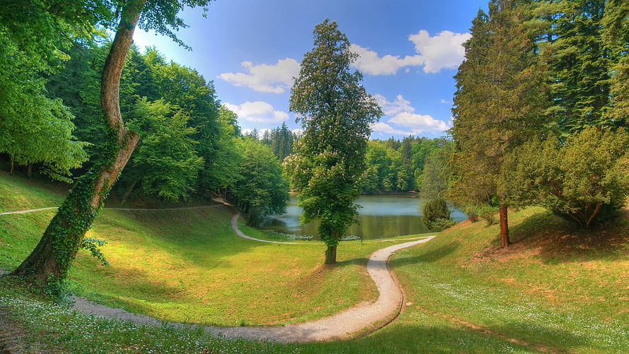 Soothing Park Landscape With Winding Path And Calm Pond HD wallpaper