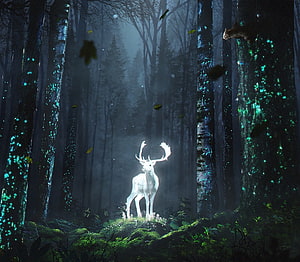 Luminous White Deer in a Mystical Bioluminescent Forest HD wallpaper