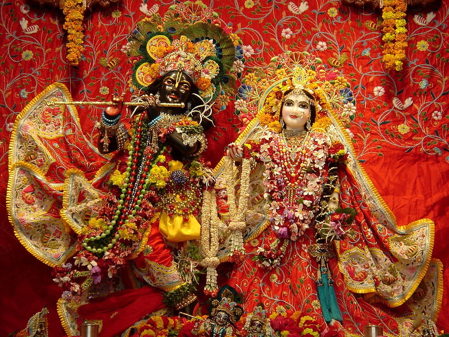 Banke Bihari Temple Deities Adorned in Vibrant Floral Garlands and Ornate Red Silk HD wallpaper