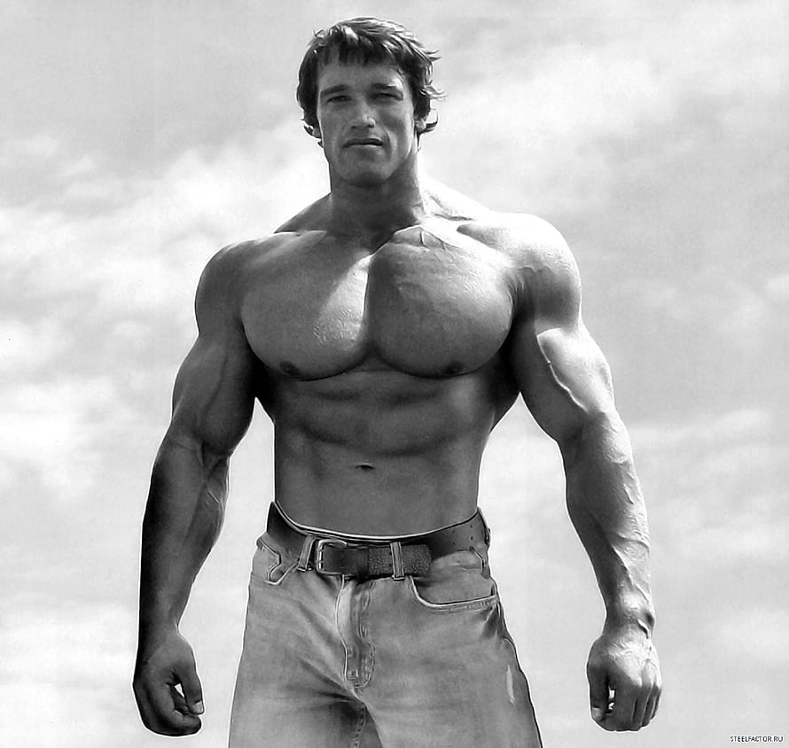 Arnold Schwarzenegger Classic Black And White Bodybuilding Portrait HD wallpaper