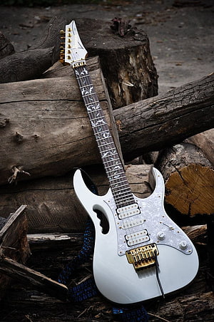 White Ibanez Steve Vai Signature Electric Guitar with Pearl Inlays on Weathered Logs HD phone wallpaper