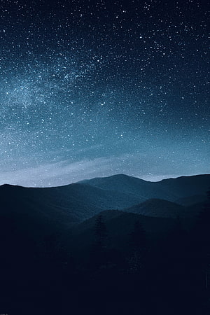 Starry Night Sky Over Silhouetted Mountain Ranges and Pine Trees HD phone wallpaper