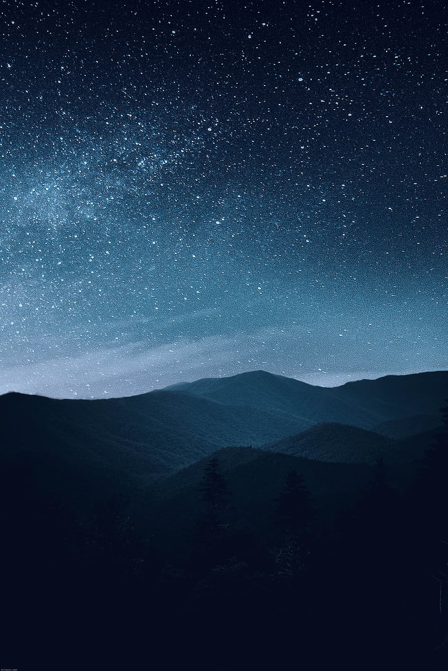 Starry Night Sky Over Silhouetted Mountain Ranges and Pine Trees HD phone wallpaper