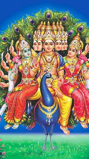 Murugan and Valli Divine Couple Riding Peacock with Peacock Feather Crown HD phone wallpaper