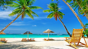 Tropical Beach Paradise With Palm Trees, Thatched Umbrellas, and Turquoise Ocean Water HD wallpaper