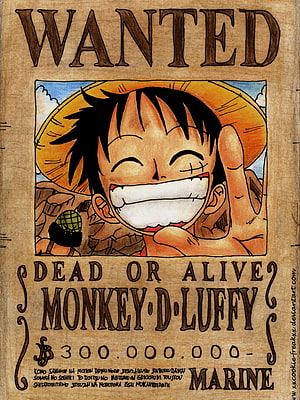 Monkey D. Luffy One Piece Wanted Poster Illustration HD phone wallpaper
