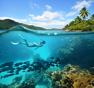 Split-level snorkeling scene with a swimmer, coral reef, and tropical coastline HD wallpaper