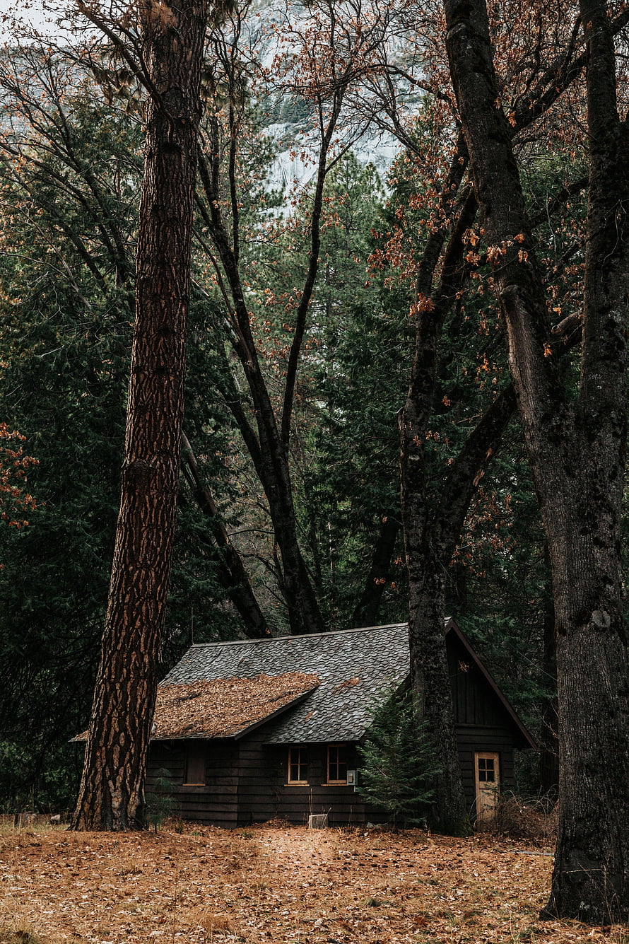Secluded Rustic Cabin Nestled in Autumn Forest with Snowy Mountain Backdrop HD phone wallpaper
