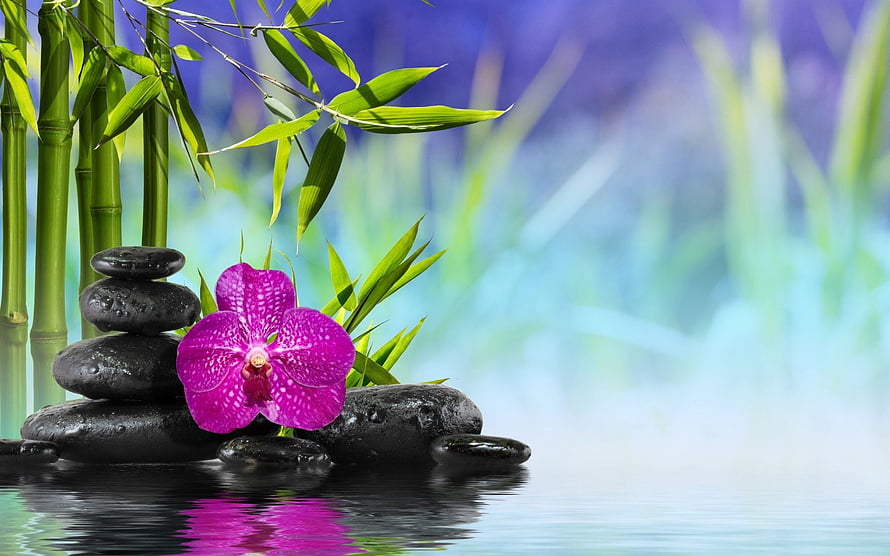 Serene Zen Garden with Stacked Stones, Bamboo, and a Vibrant Pink Orchid by Water HD wallpaper