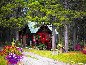 Charming Red Cabin in Pine Forest with Vibrant Flower Garden and Gravel Path HD wallpaper