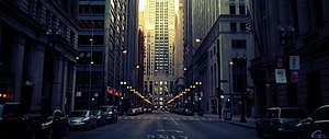 Chicago Street Canyon at Dusk with Tall Skyscrapers and Parked Cars HD wallpaper