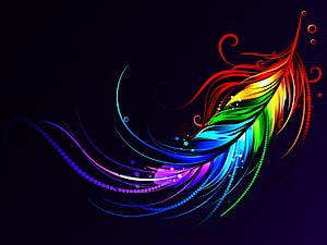 Vibrant Rainbow Feather Abstract Art with Swirling Neon Lines and Star Accents on Dark Background HD wallpaper
