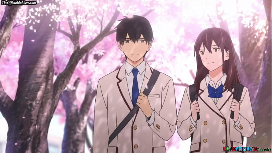 I Want to Eat Your Pancreas Anime Couple Walking Through Cherry Blossoms HD wallpaper