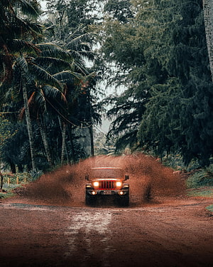 Jeep Wrangler kicking up dust on a tropical dirt road surrounded by palm trees HD phone wallpaper