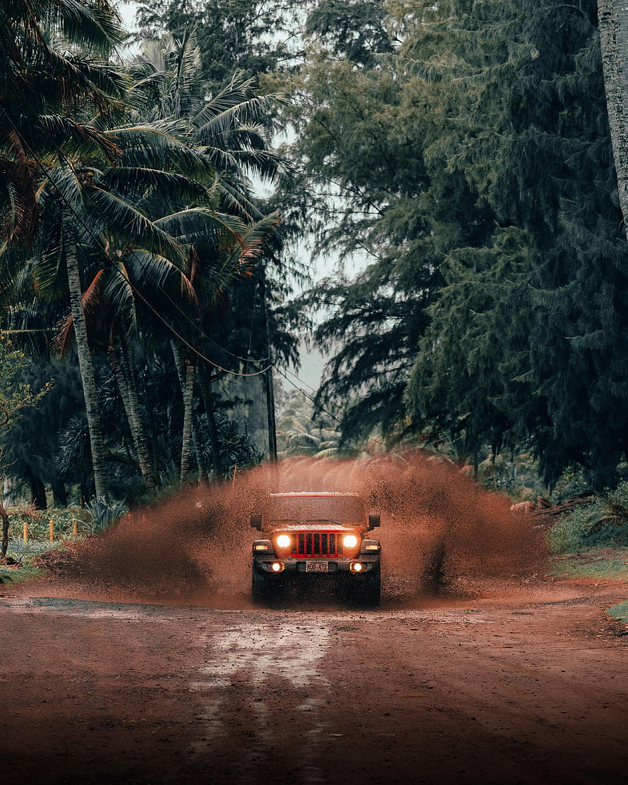 Jeep Wrangler kicking up dust on a tropical dirt road surrounded by palm trees HD phone wallpaper