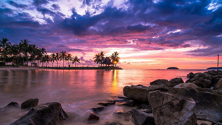 Tropical Beach Sunset with Palm Trees and Rocky Shoreline HD wallpaper