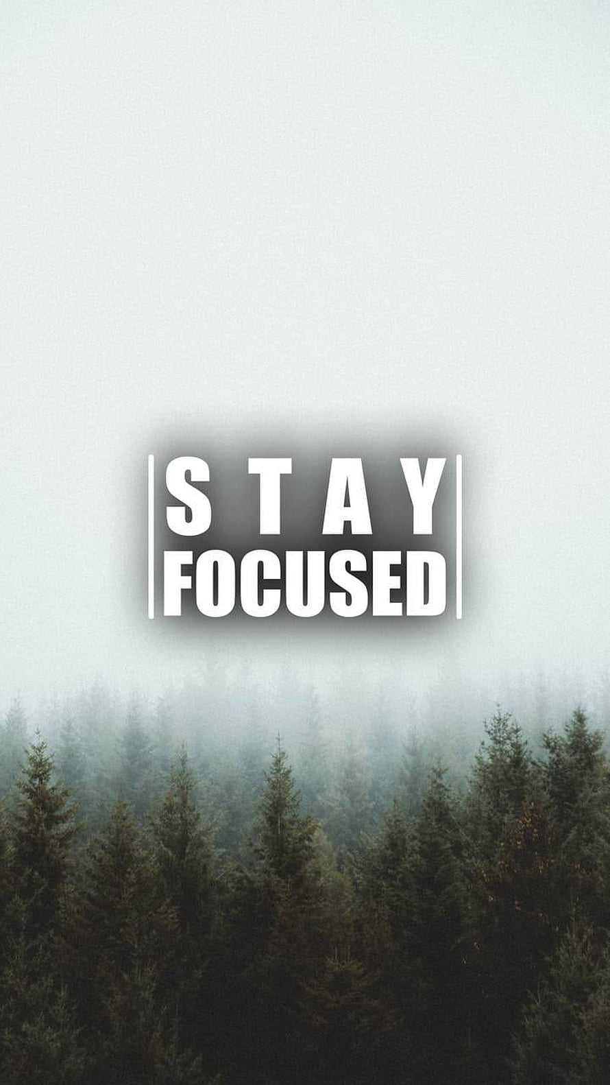 Misty Evergreen Forest Landscape with Motivational Stay Focused Typography HD phone wallpaper