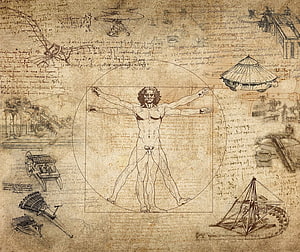 Leonardo Da Vinci Vitruvian Man Sketch with Renaissance Engineering Diagrams HD wallpaper