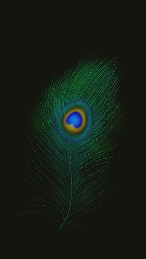 Iridescent Peacock Feather with Glowing Eye Pattern on Black Background HD phone wallpaper