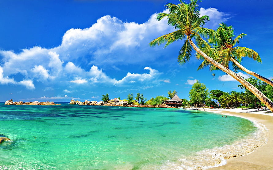 Tropical Island Beach with Turquoise Water, Leaning Palm Trees, and White Sand Shoreline HD wallpaper